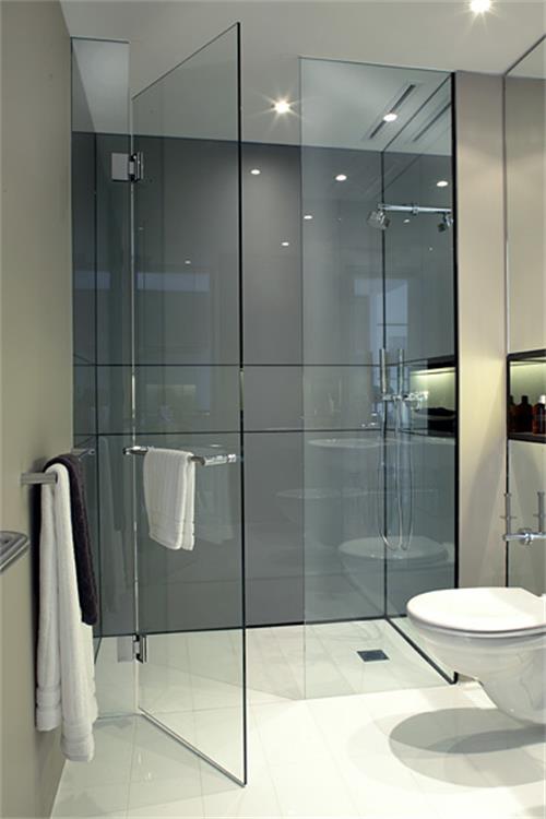 Frameless Shower Door